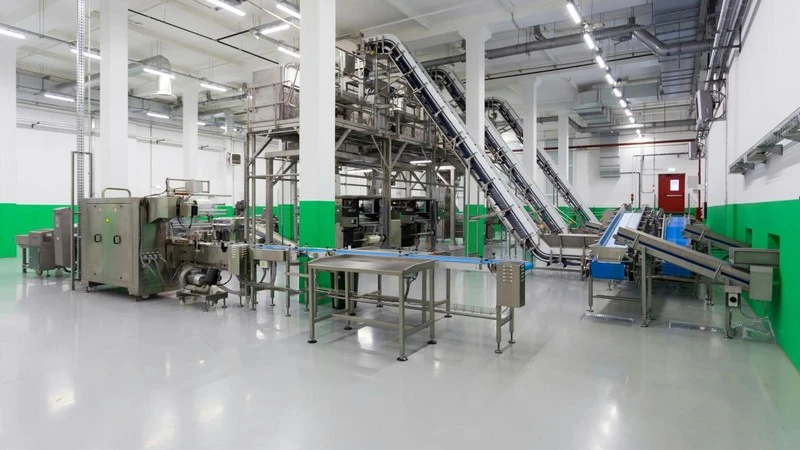 Automatisation de nouvelle g&eacute;n&eacute;ration&nbsp;: 5&nbsp;tendances majeures qui transforment les syst&egrave;mes de convoyage de transformation alimentaire